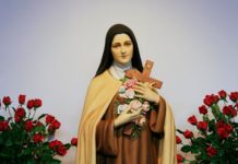 Pray this Novena and St. Therese might send you a Rose from Heaven