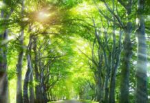 Pray this Powerful Prayer If You Want to Grow Spiritually